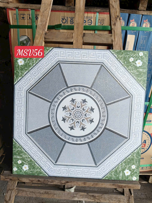 Sân Vườn MSV 56